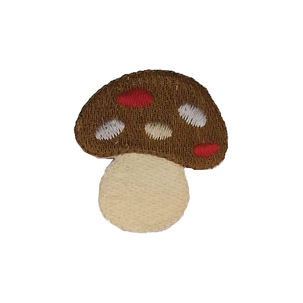 little brown mushroom patch
